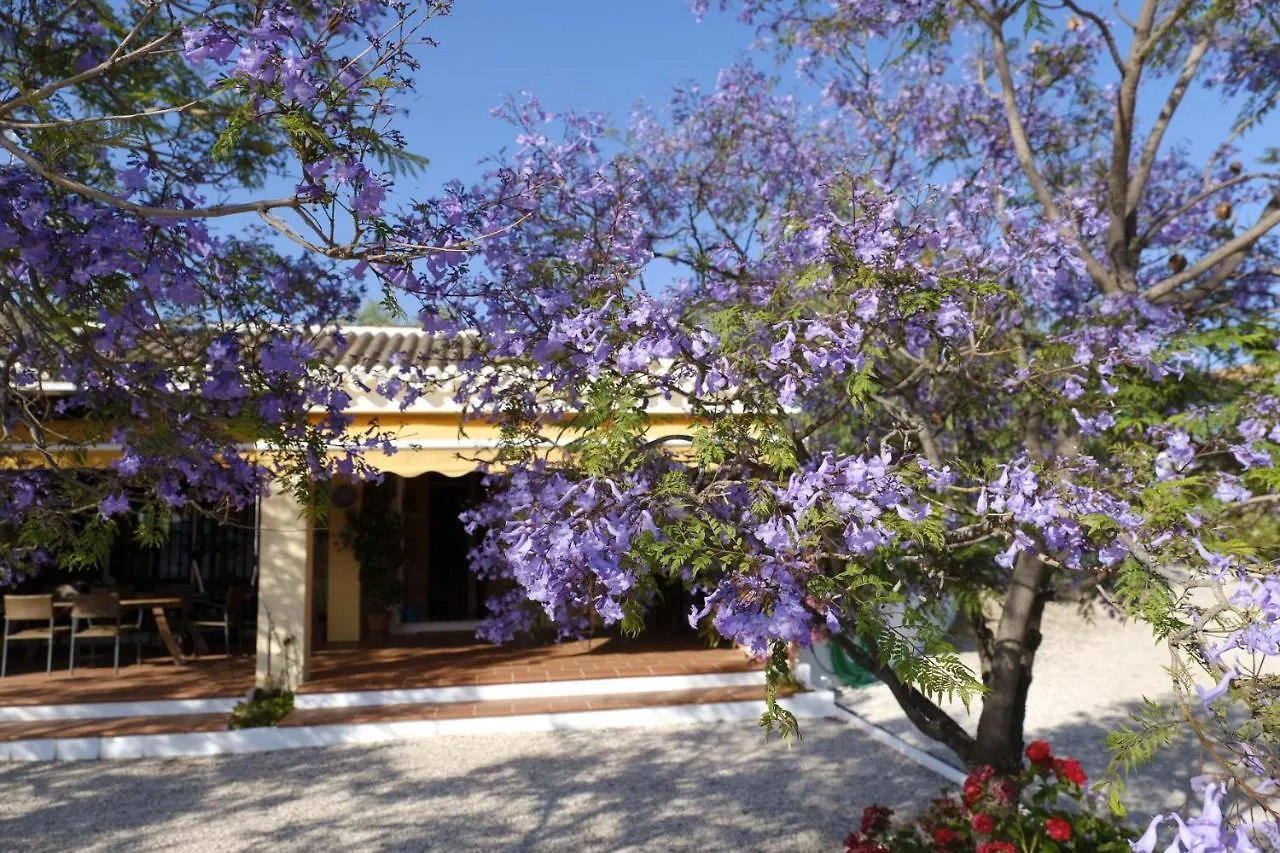 Bed & Breakfast Finca Gordo Riogordo