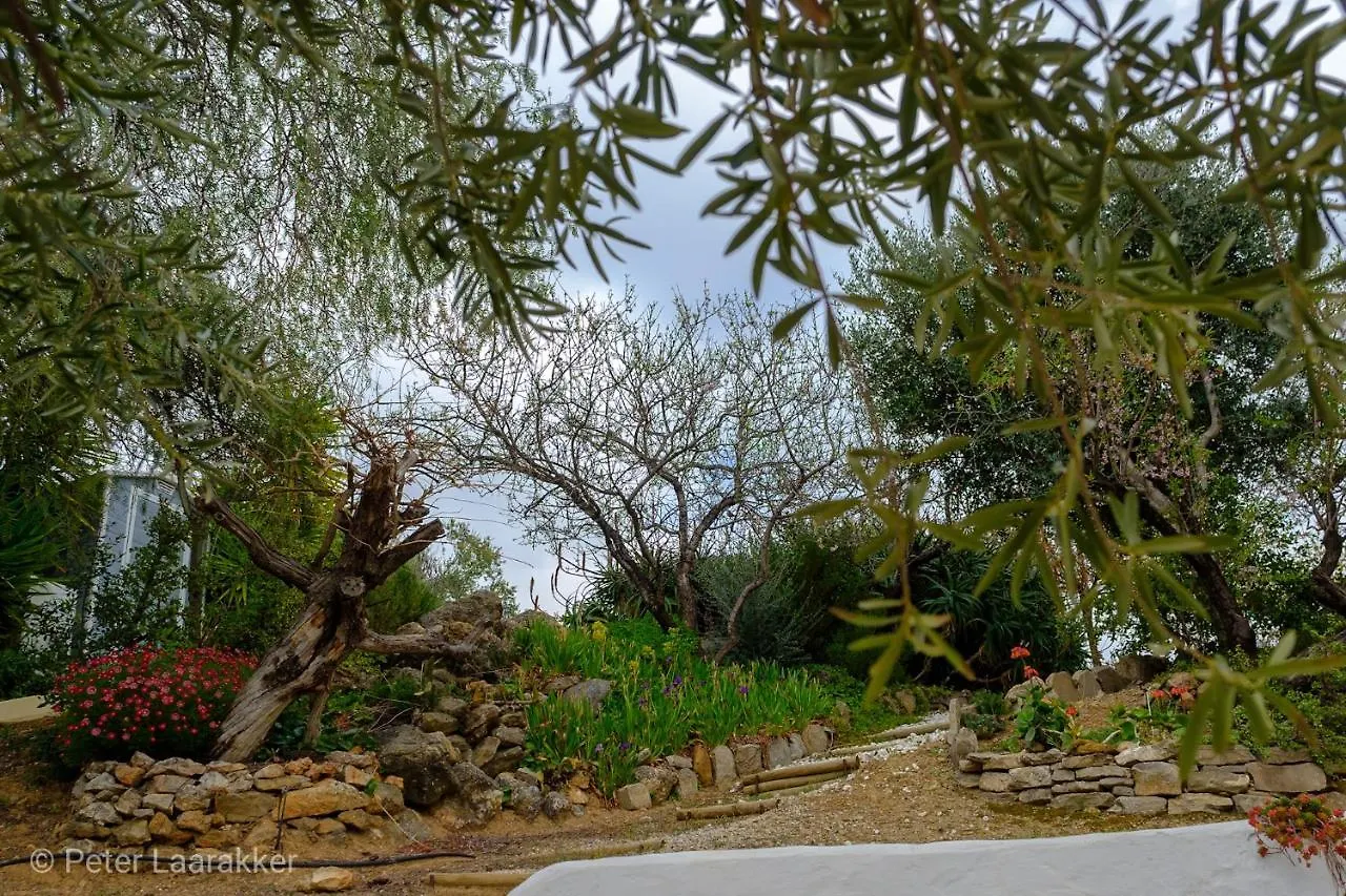Finca Gordo Riogordo 0*,  Spain